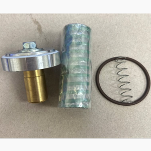 Ingersoll Rand 37956075 Valve Repair Kit